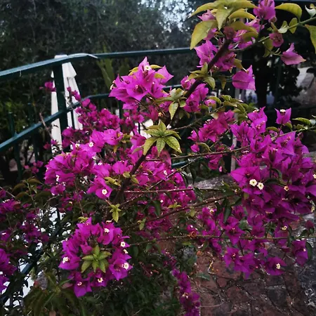 Lejlighed Iride La Spezia